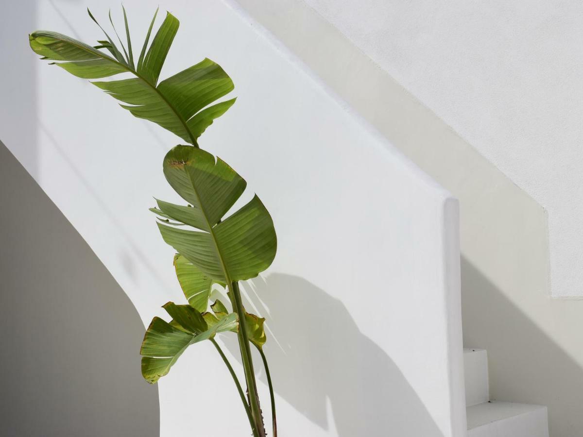 Civico 50 Guest house